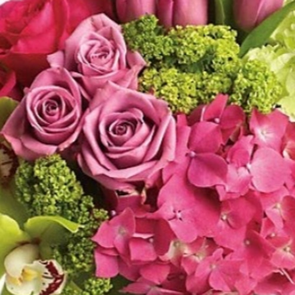 Meet your Posher, Barbara